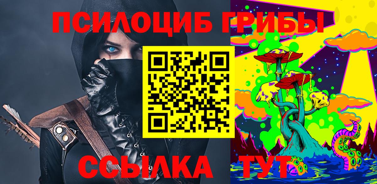 Псилоцибиновые грибы MAGIC MUSHROOMS  Вход с VPN  Березники 