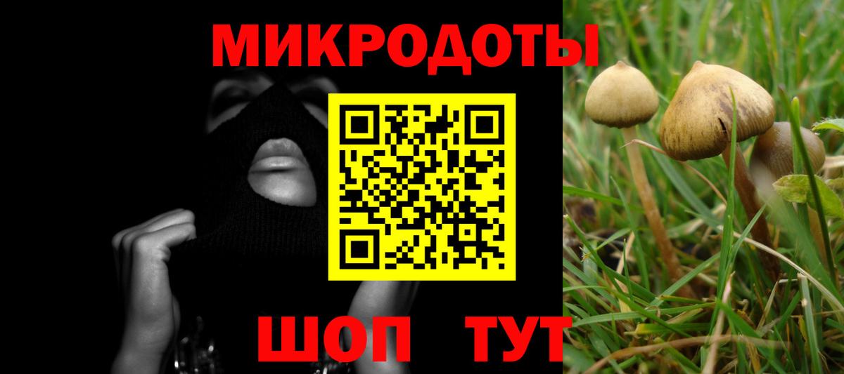 Галлюциногенные грибы ЛСД Березники